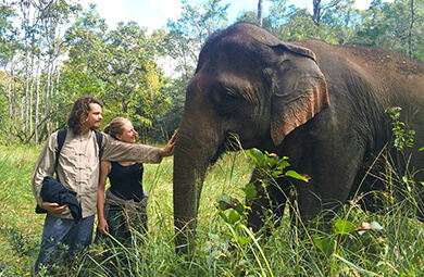 Northern Cambodia Elephants