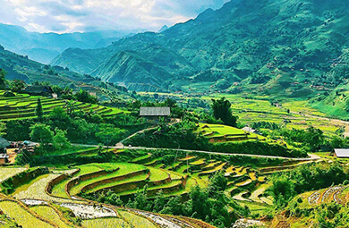 Sapa Rice Terraces