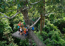 Angkor Zipline