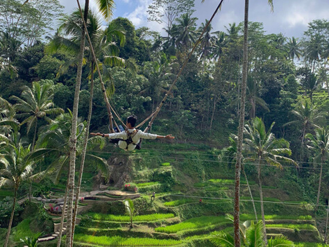 Tegalalang Rice Terrace